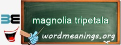 WordMeaning blackboard for magnolia tripetala
